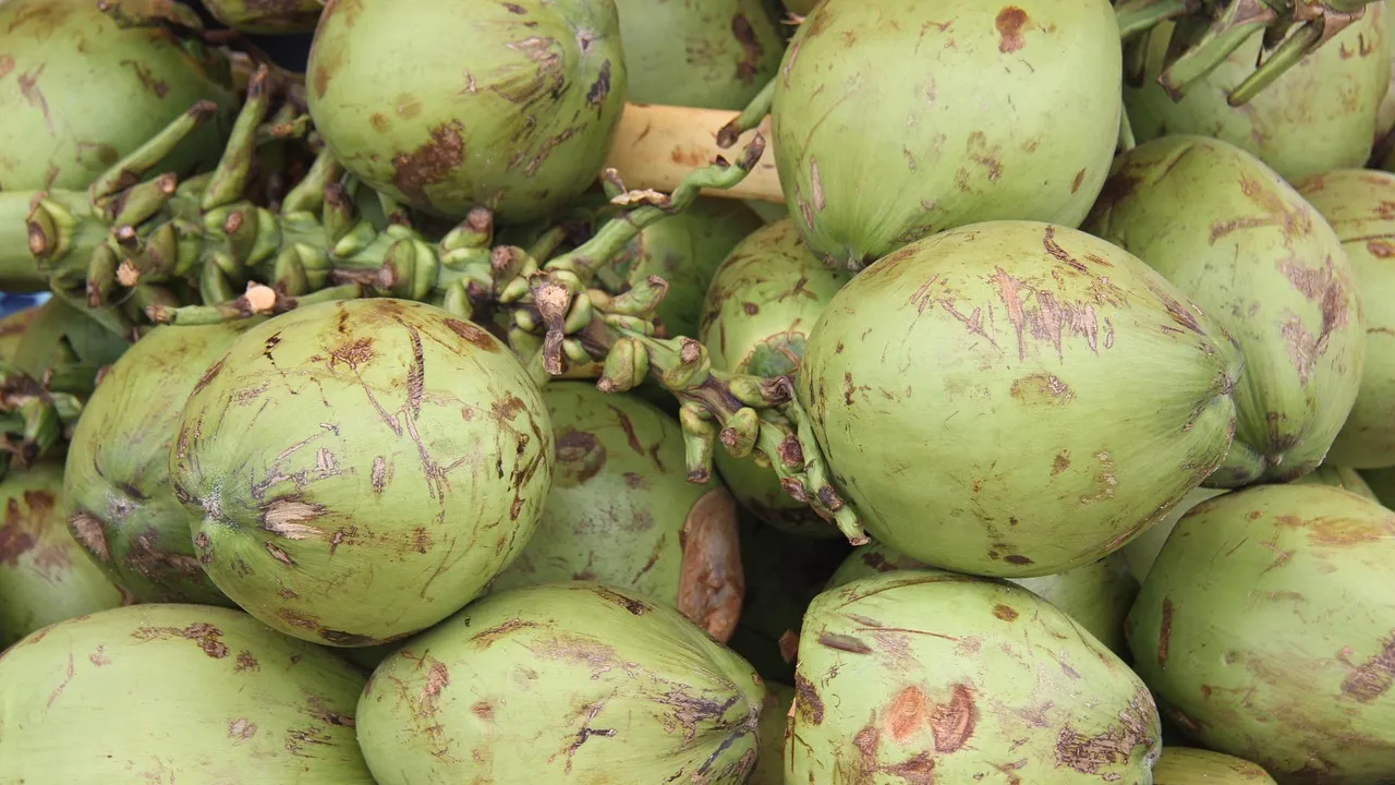 Tigela funda com cocada cremosa branca e brilhante, alguns fios de coco aparentes, colher de sobremesa apoiada na borda