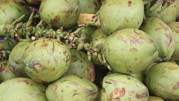 Tigela funda com cocada cremosa branca e brilhante, alguns fios de coco aparentes, colher de sobremesa apoiada na borda